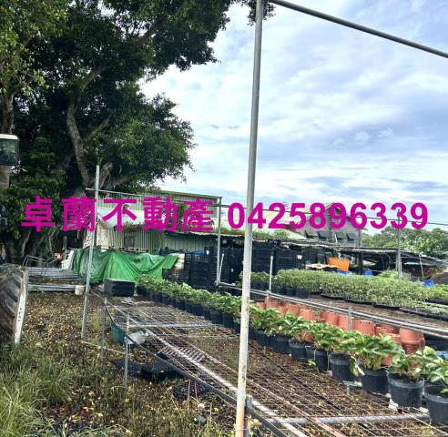 苗栗卓蘭農地-7