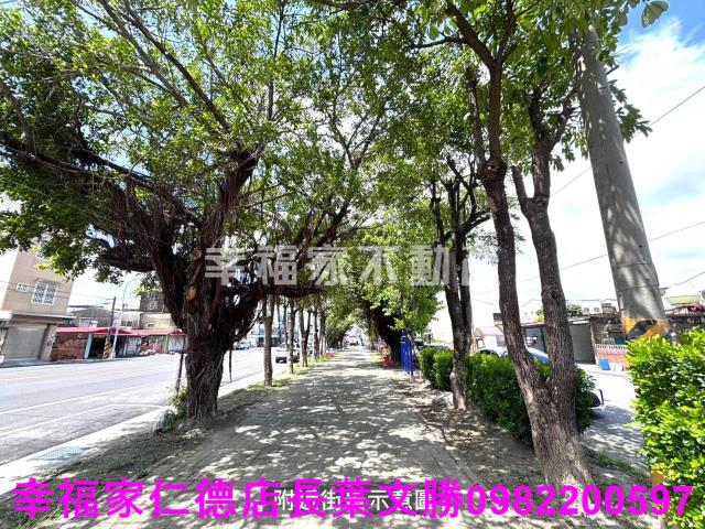 安定農地-8
