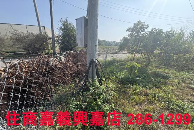 嘉義農地-4