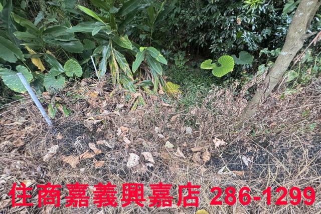 嘉義番路農地-10