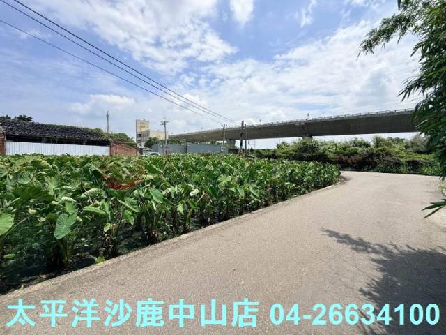台中大甲農地-8