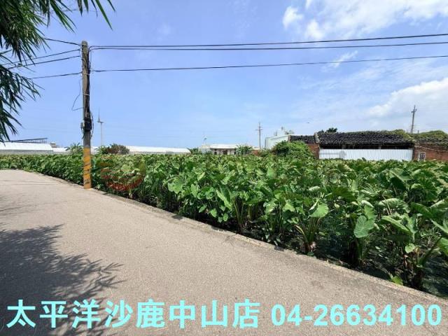 台中大甲農地-9
