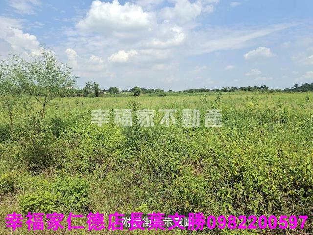 官田農地-5