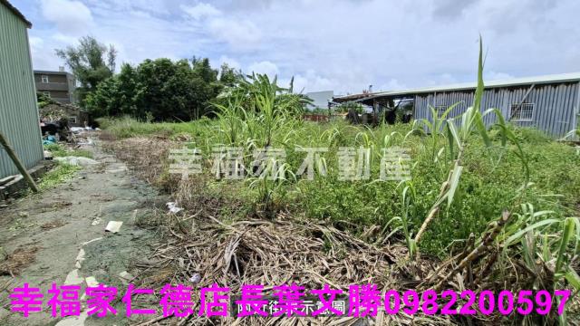 台南農地-4