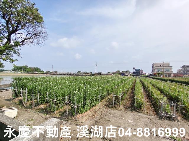 彰化農地-4