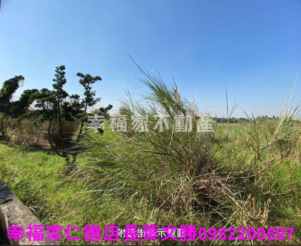 台南關廟農地-12