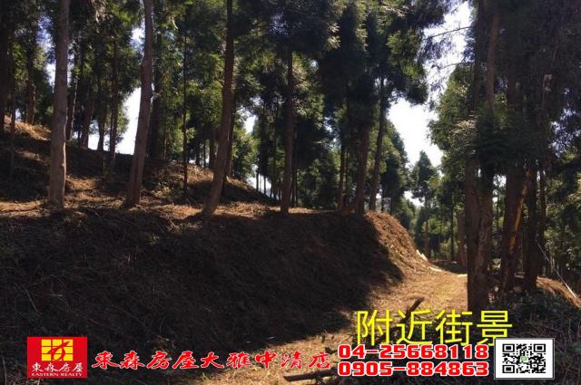 苗栗三義農地-2