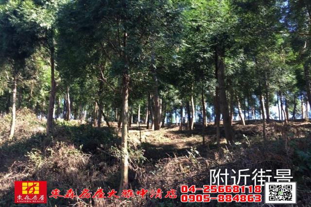 苗栗三義農地-3