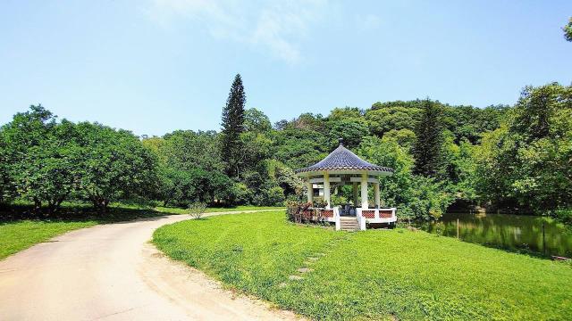苗栗造橋工業地-2