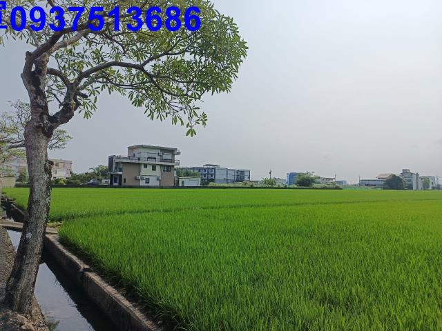 壯圍農地-4