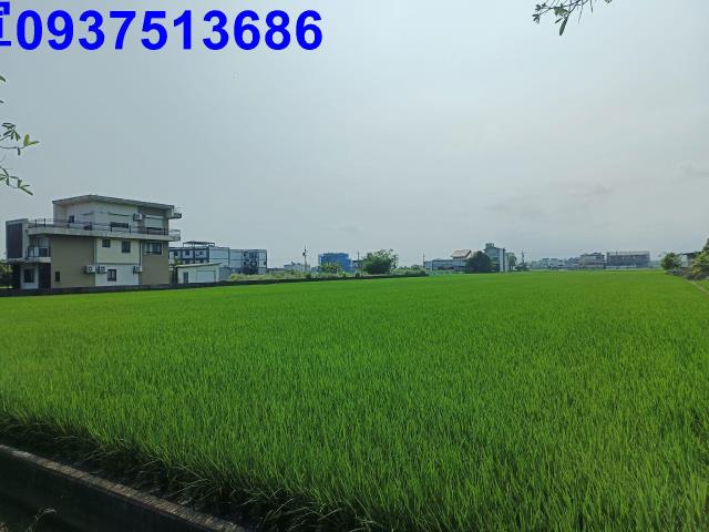壯圍農地-5