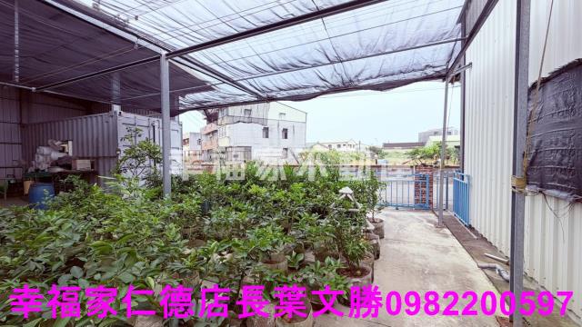 後壁農地-15