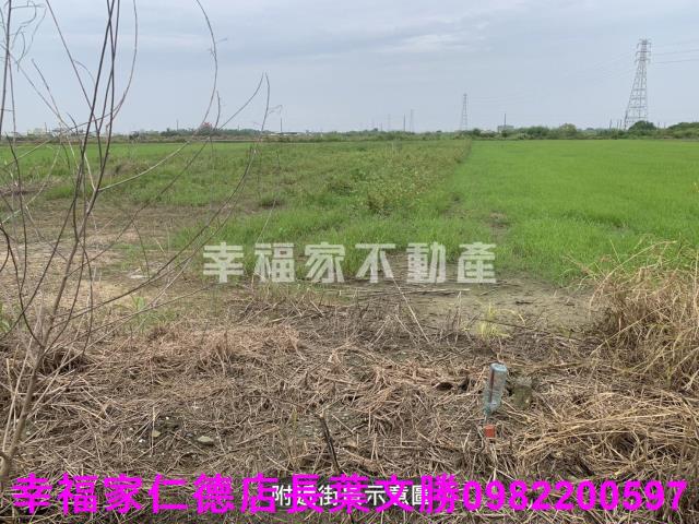 台南佳里農地-5