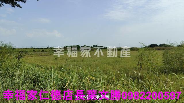 台南七股農地-4