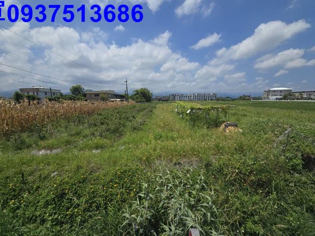 宜蘭三星農地-14