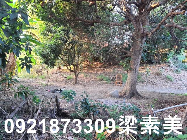 佳里建地-1