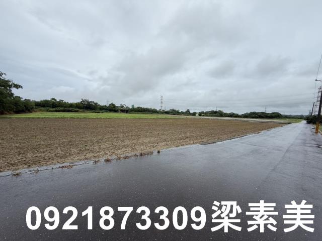 善化農地-5