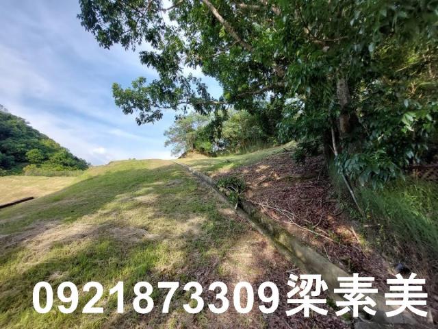 大內農地-11