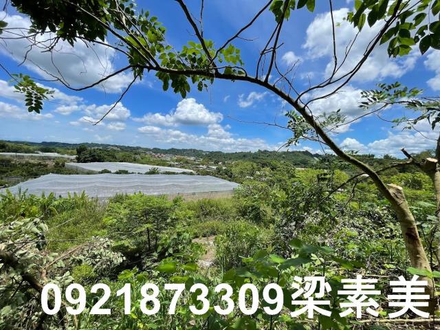 大內農地-6
