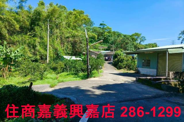 竹崎農地-1