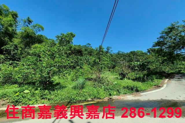 竹崎農地-4