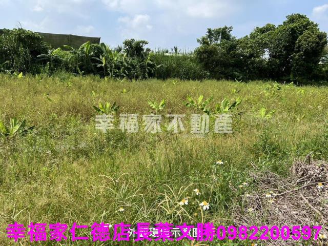 台南農地-13