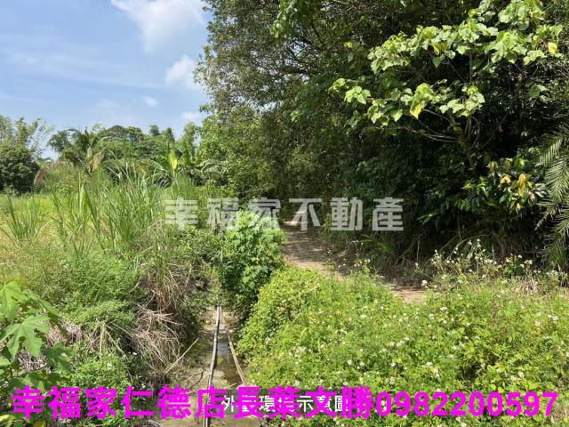 台南農地-5
