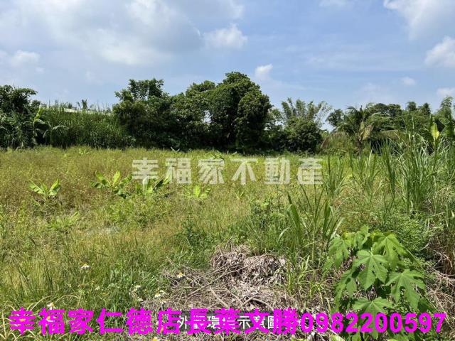 台南農地-6