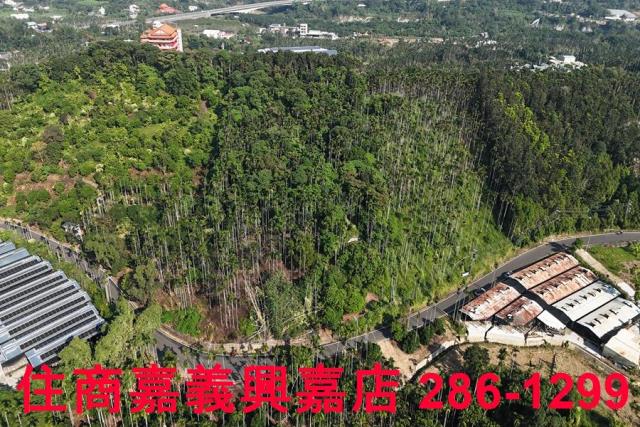 嘉義中埔農地-1