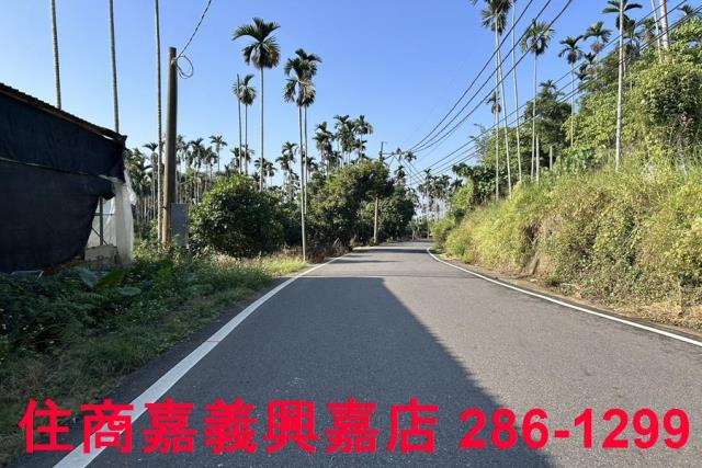 嘉義中埔農地-5