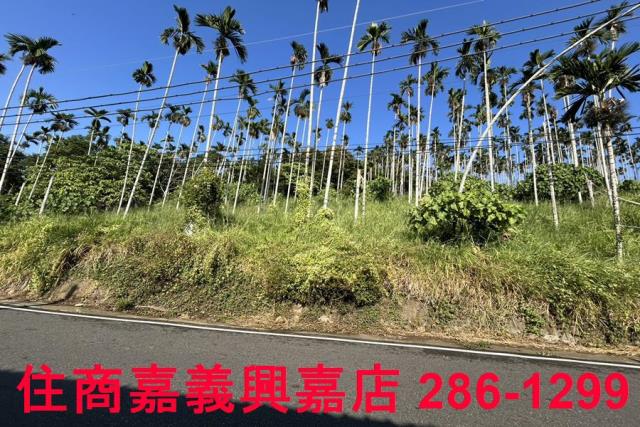 嘉義中埔農地-6