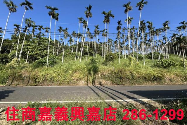 嘉義中埔農地-7