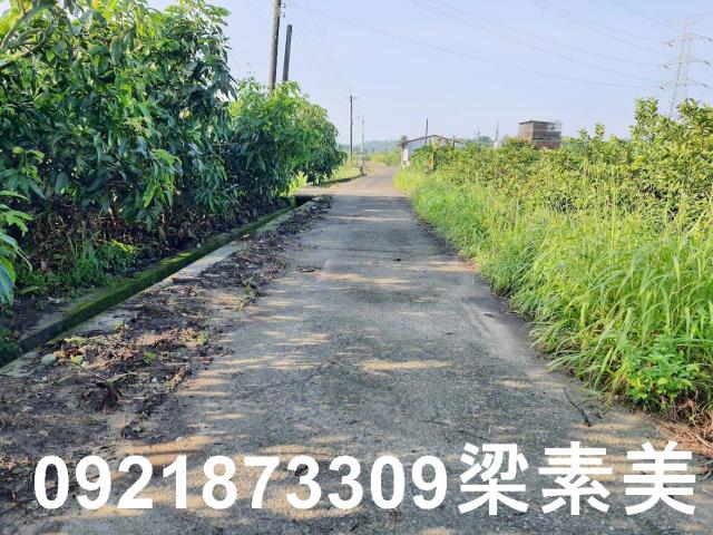 玉井農地-10