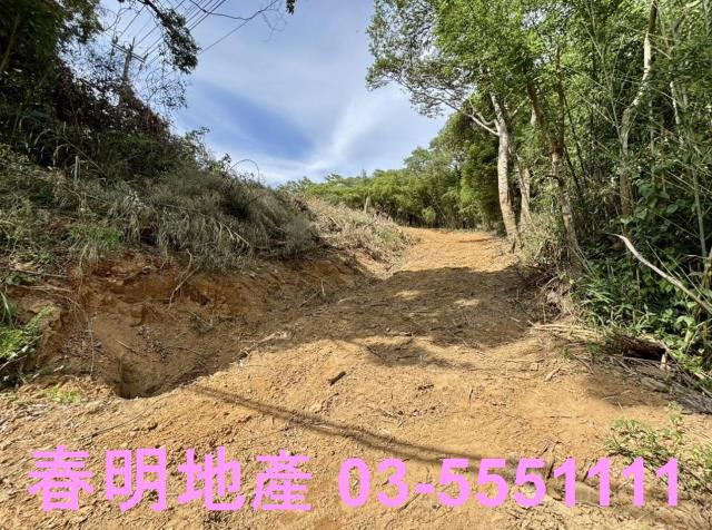 新埔休閒地-1