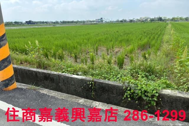 鹿草農地-3