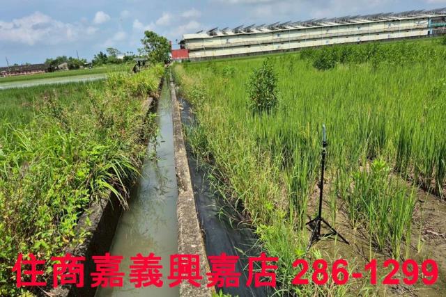 鹿草農地-8