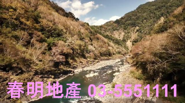 尖石林地-6