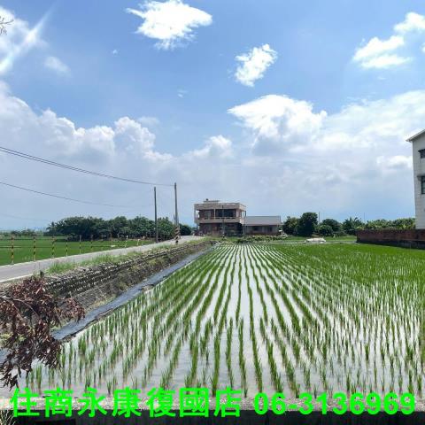 台南農地-14