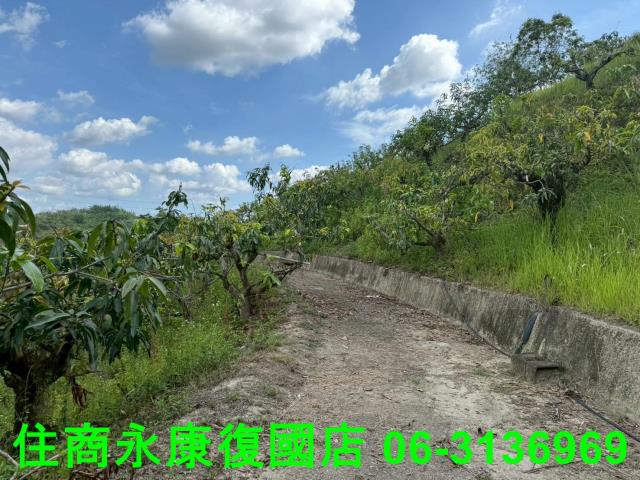 台南農地-10
