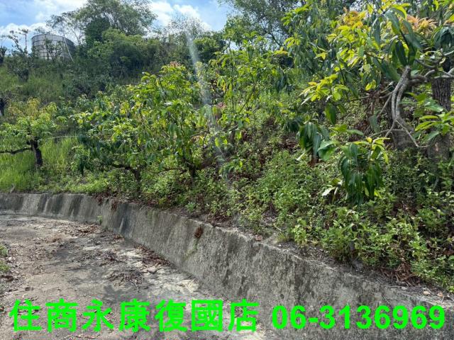 台南農地-11
