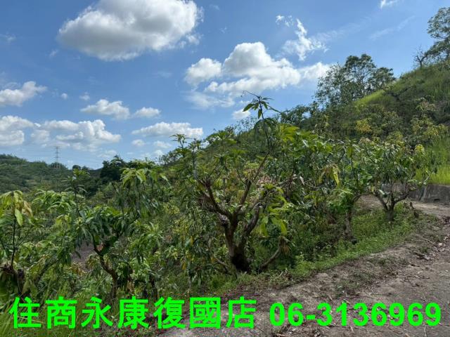 台南農地-12