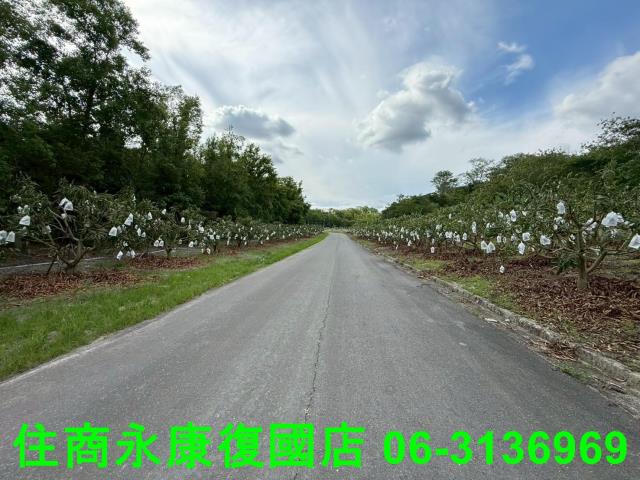 台南農地-1