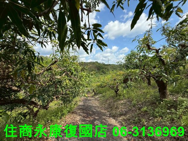 台南農地-3