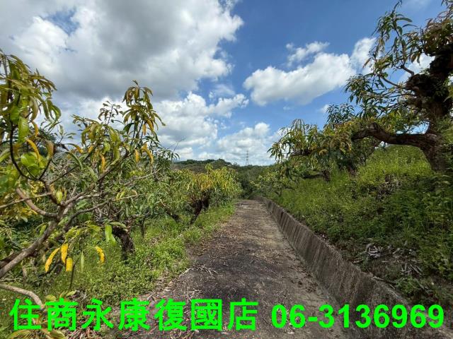 台南農地-4