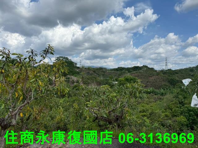 台南農地-6