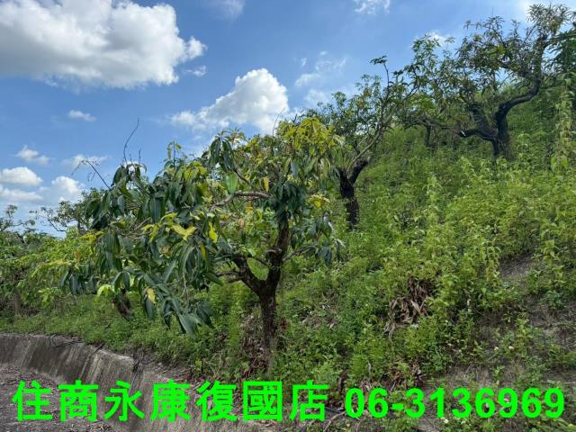 台南農地-8