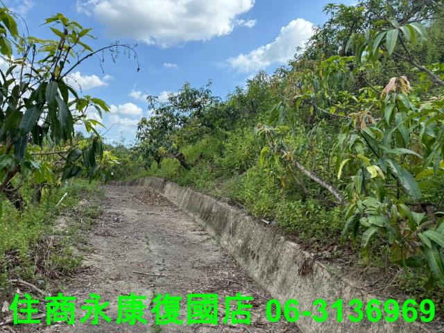 台南農地-9