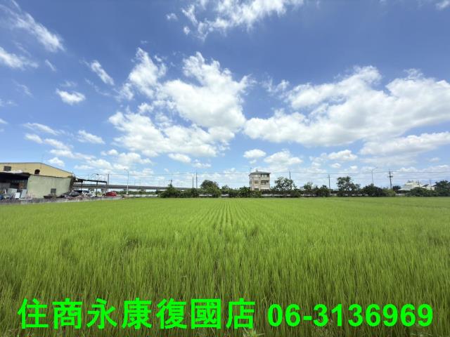 台南農地-5