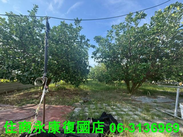 台南農地-13