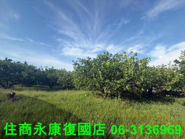 台南農地-5